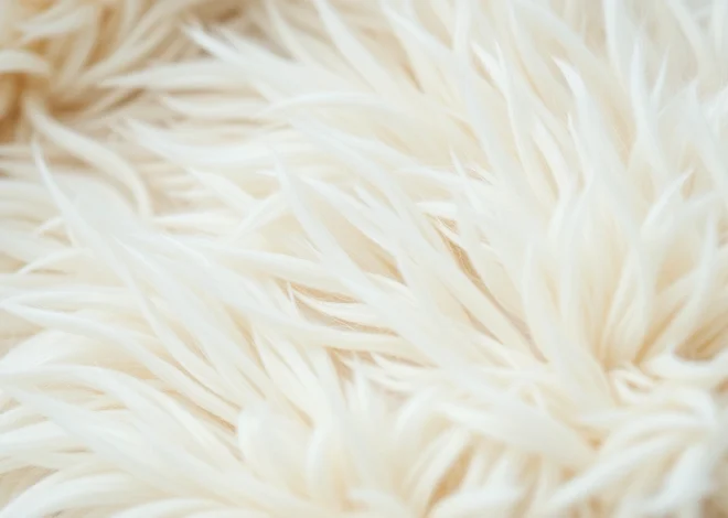 Faux Fur Fashion: Is It Eco-Friendly? Experts Weigh In